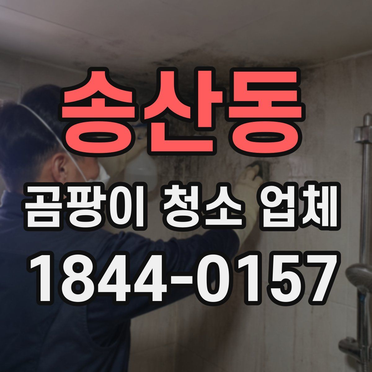 송산동 곰팡이 청소 업체