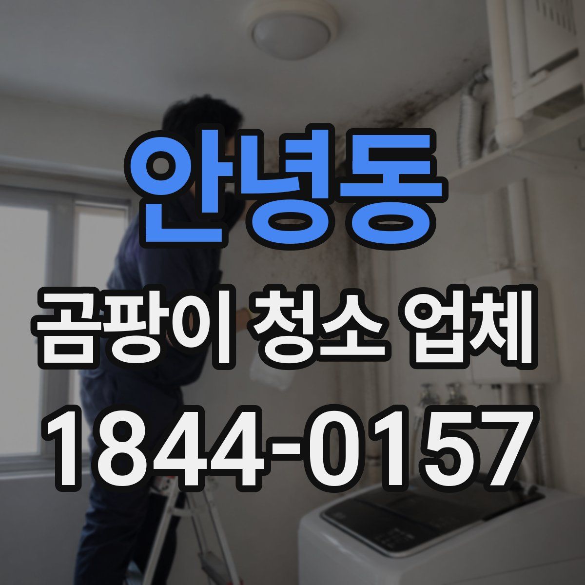 안녕동 곰팡이 청소 업체
