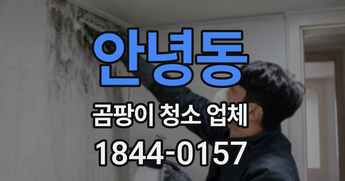 안녕동 곰팡이 청소 업체