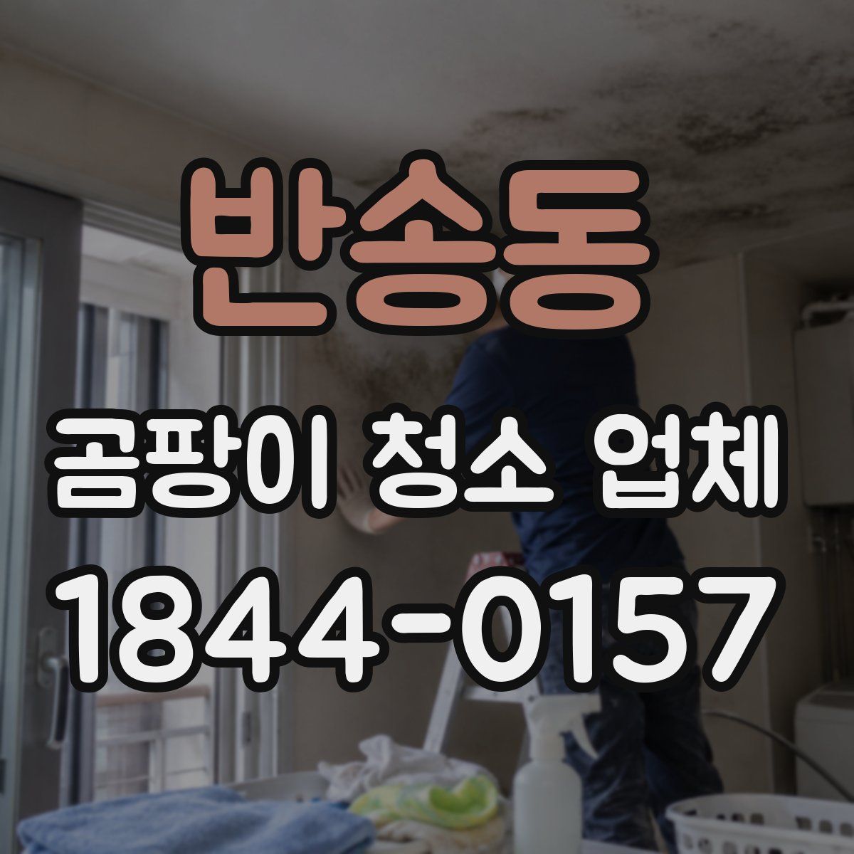 반송동 곰팡이 청소 업체