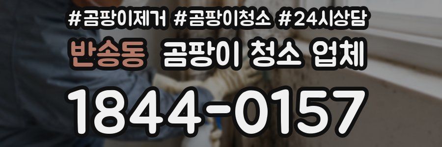 반송동 곰팡이 청소 업체