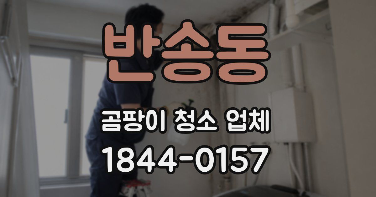 반송동 곰팡이 청소 업체
