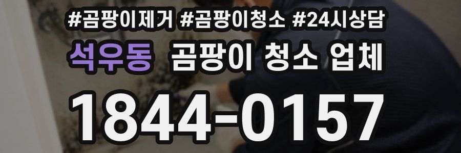 석우동 곰팡이 청소 업체