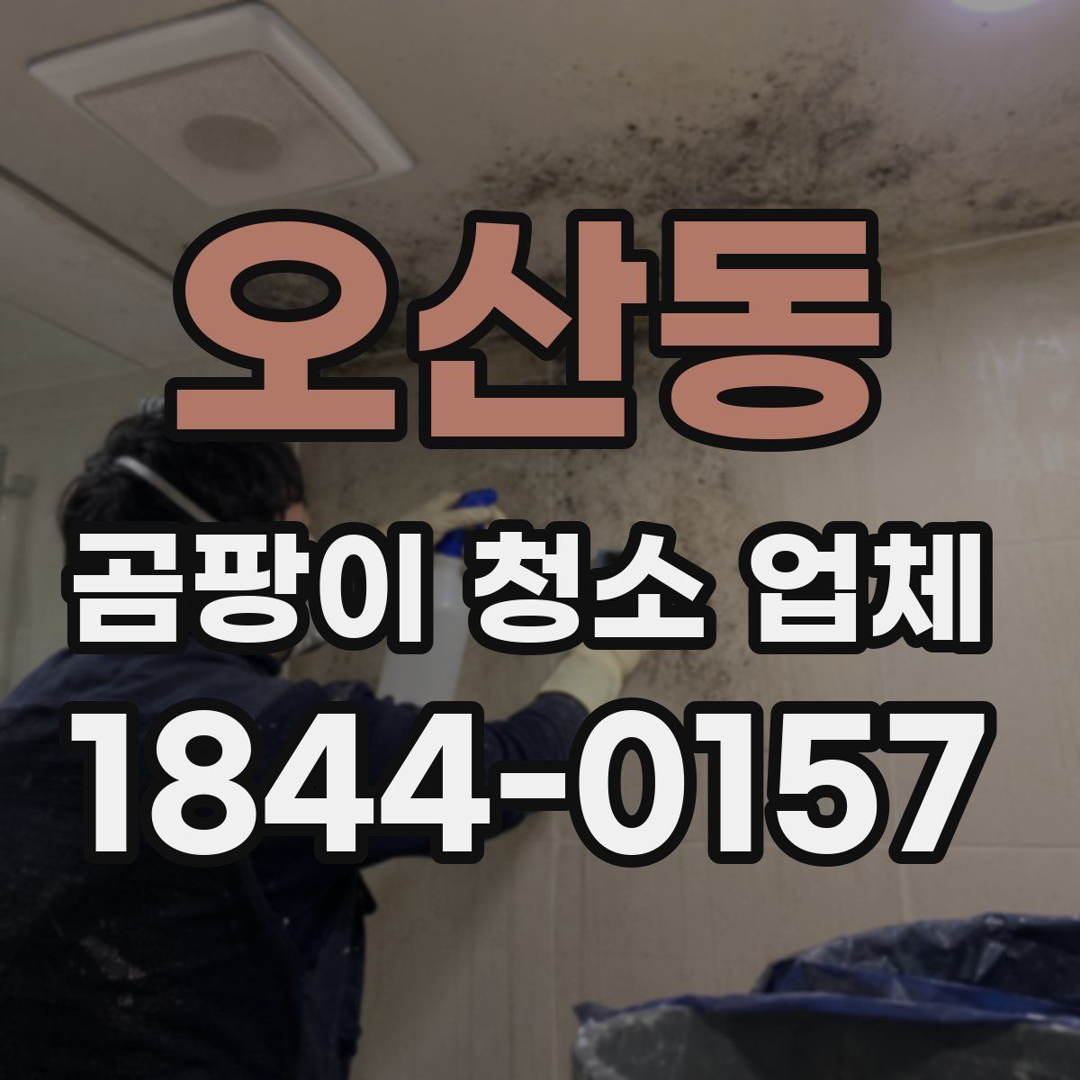 오산동 곰팡이 청소 업체