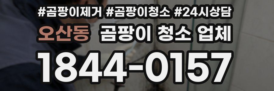 오산동 곰팡이 청소 업체