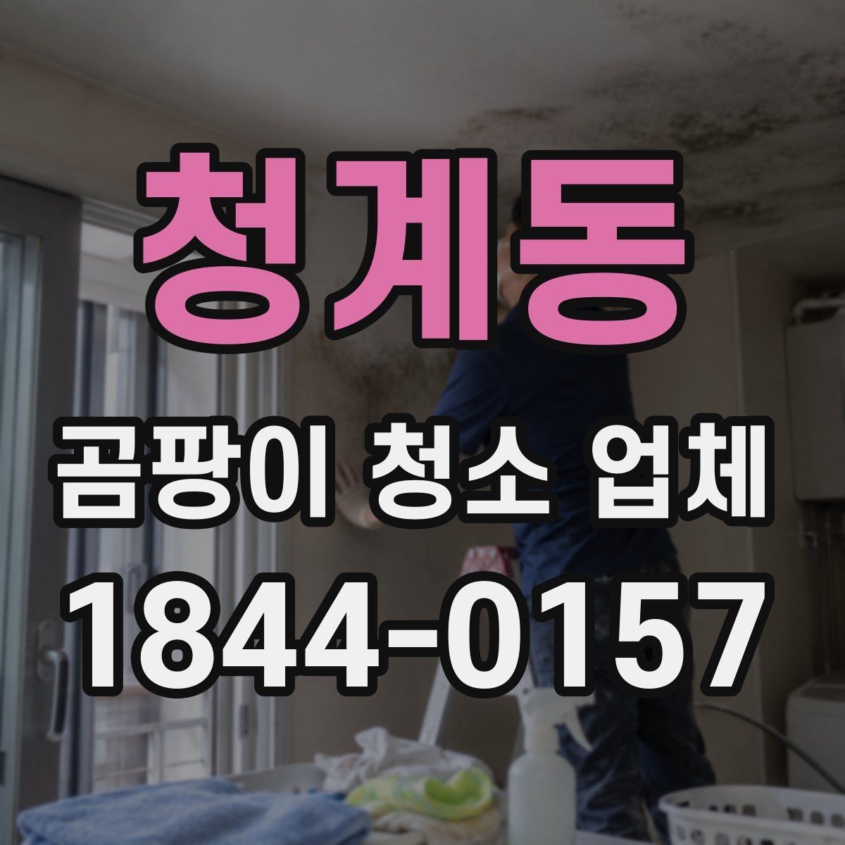 청계동 곰팡이 청소 업체 환기 부족한 집에서 관리가 더 필요한 이유