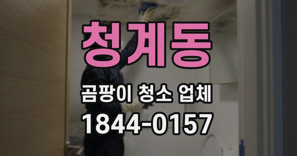 청계동 곰팡이 청소 업체