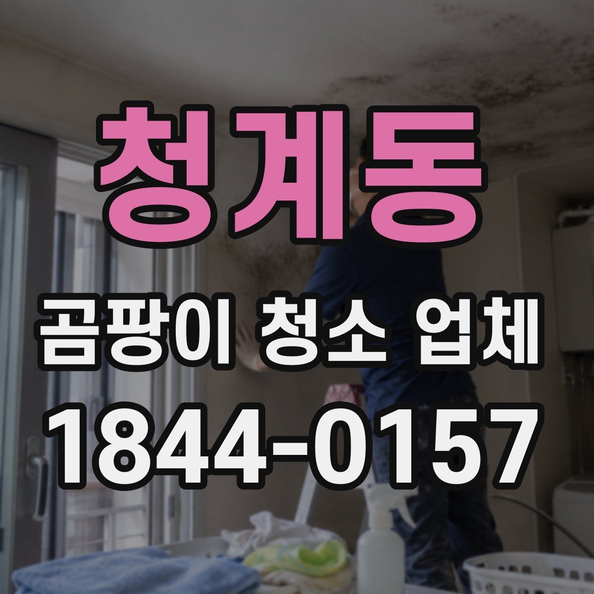 청계동 곰팡이 청소 업체