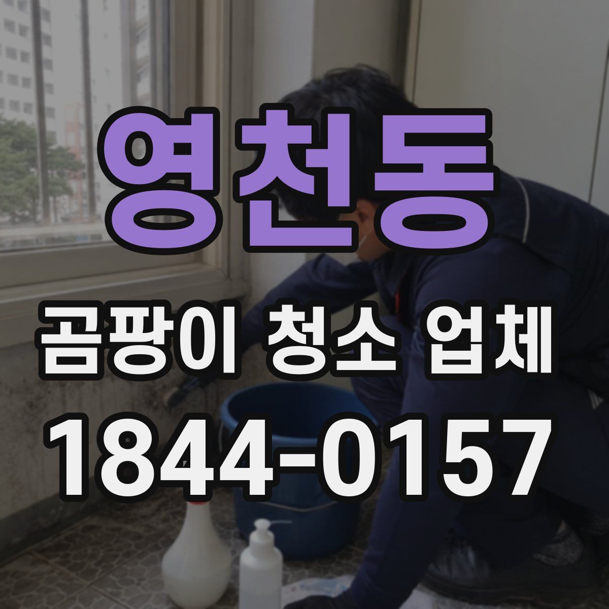 영천동 곰팡이 청소 업체