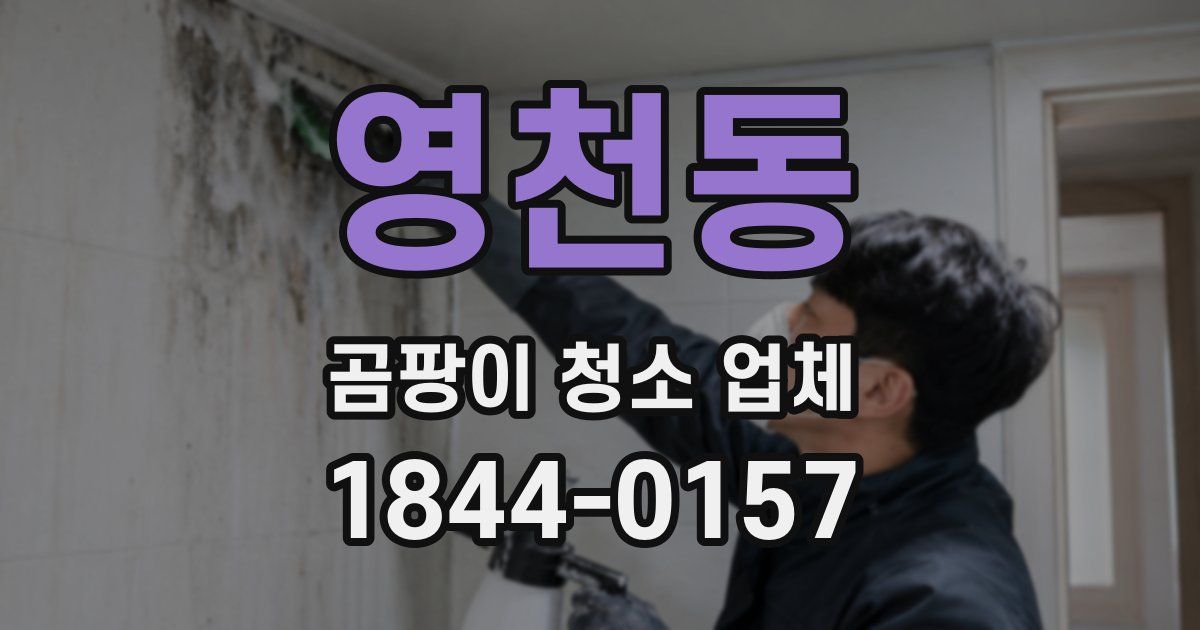 영천동 곰팡이 청소 업체