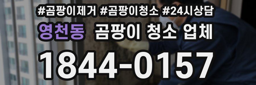 영천동 곰팡이 청소 업체