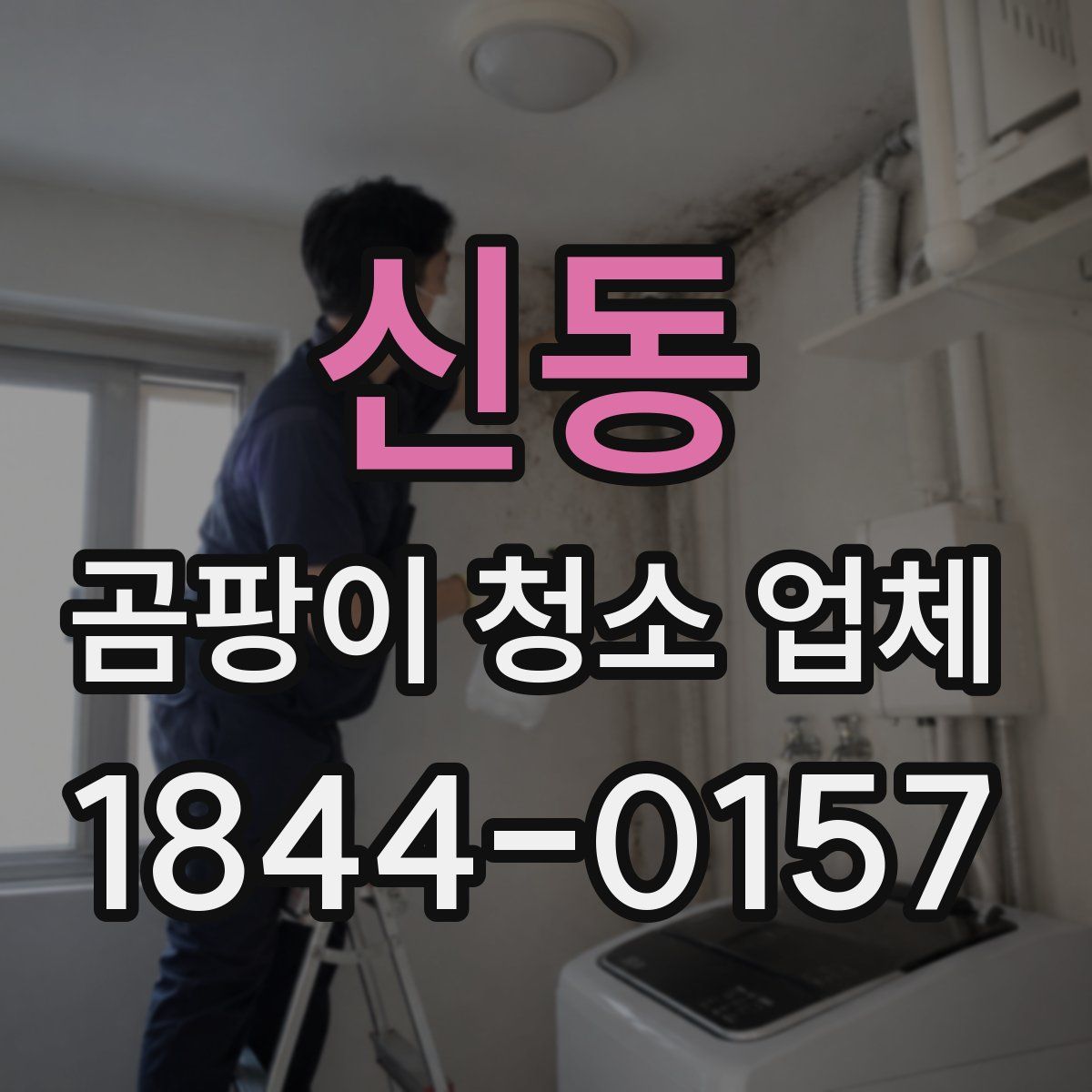 신동 곰팡이 청소 업체