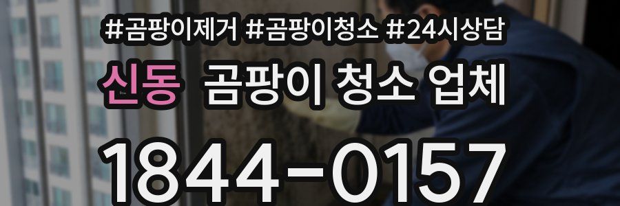 신동 곰팡이 청소 업체