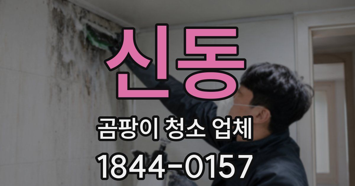 신동 곰팡이 청소 업체