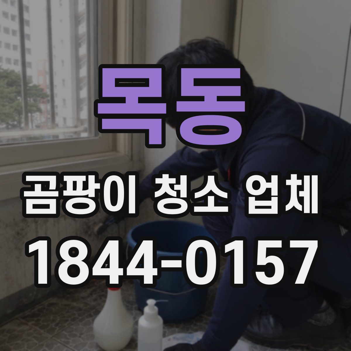 목동 곰팡이 청소 업체