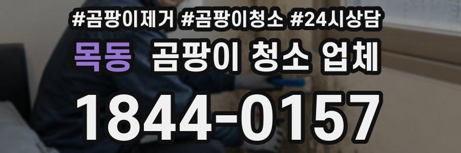 목동 곰팡이 청소 업체