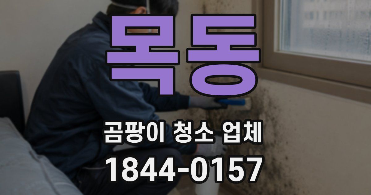 목동 곰팡이 청소 업체