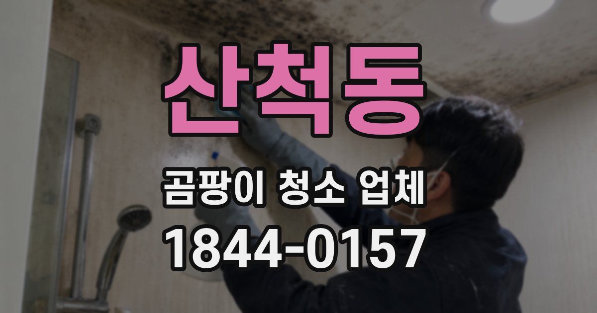 산척동 곰팡이 청소 업체