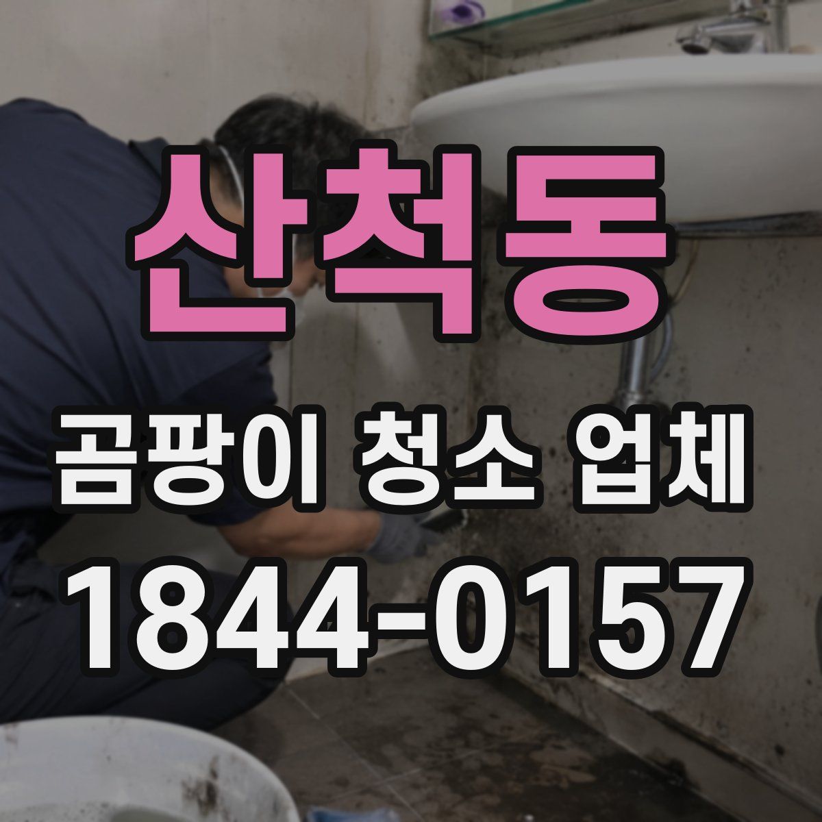 산척동 곰팡이 청소 업체