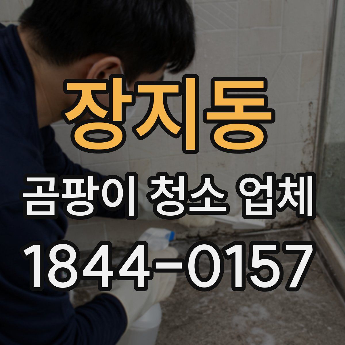 장지동 곰팡이 청소 업체