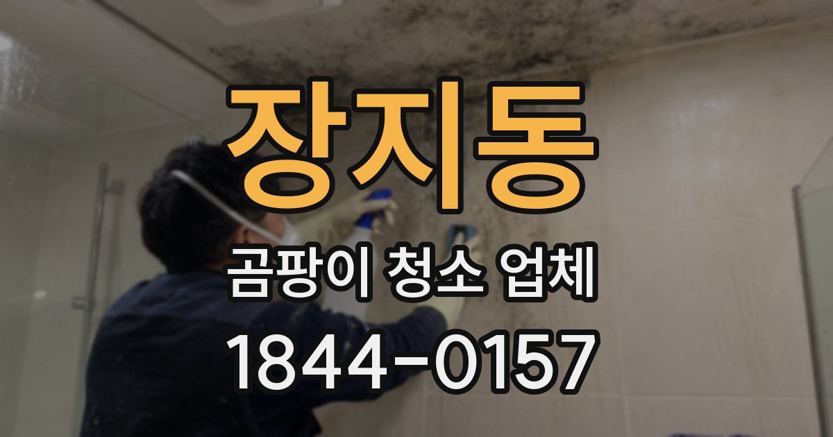 장지동 곰팡이 청소 업체