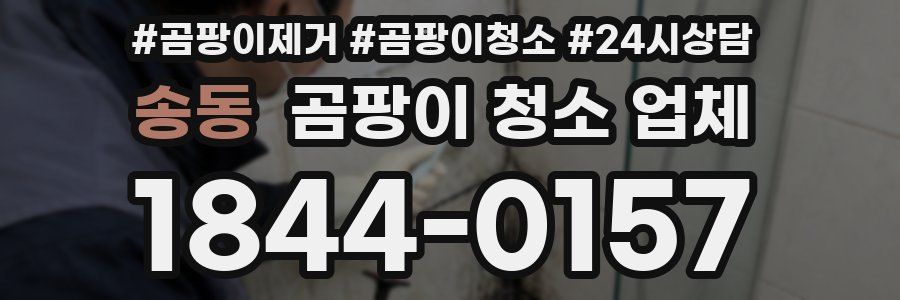 송동 곰팡이 청소 업체