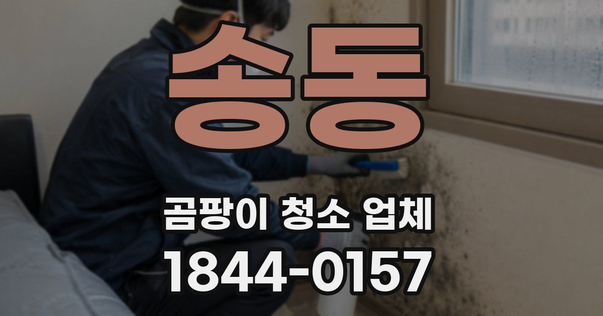 송동 곰팡이 청소 업체
