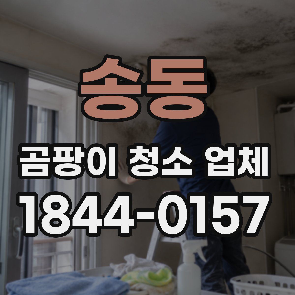 송동 곰팡이 청소 업체