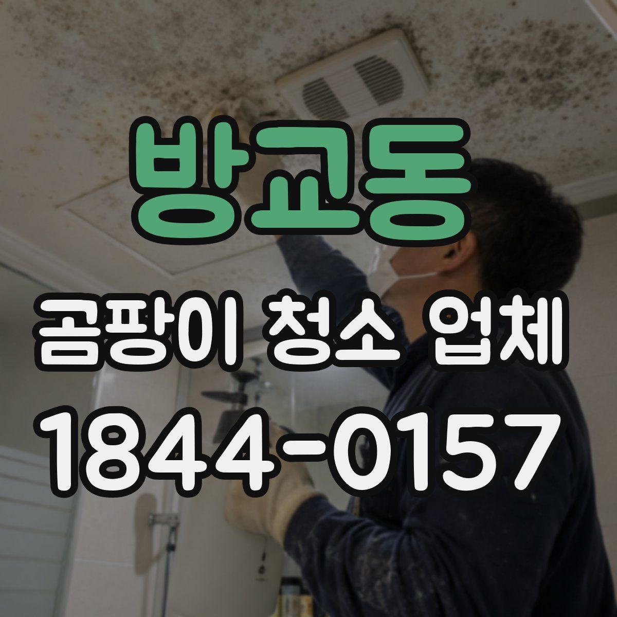 방교동 곰팡이 청소 업체