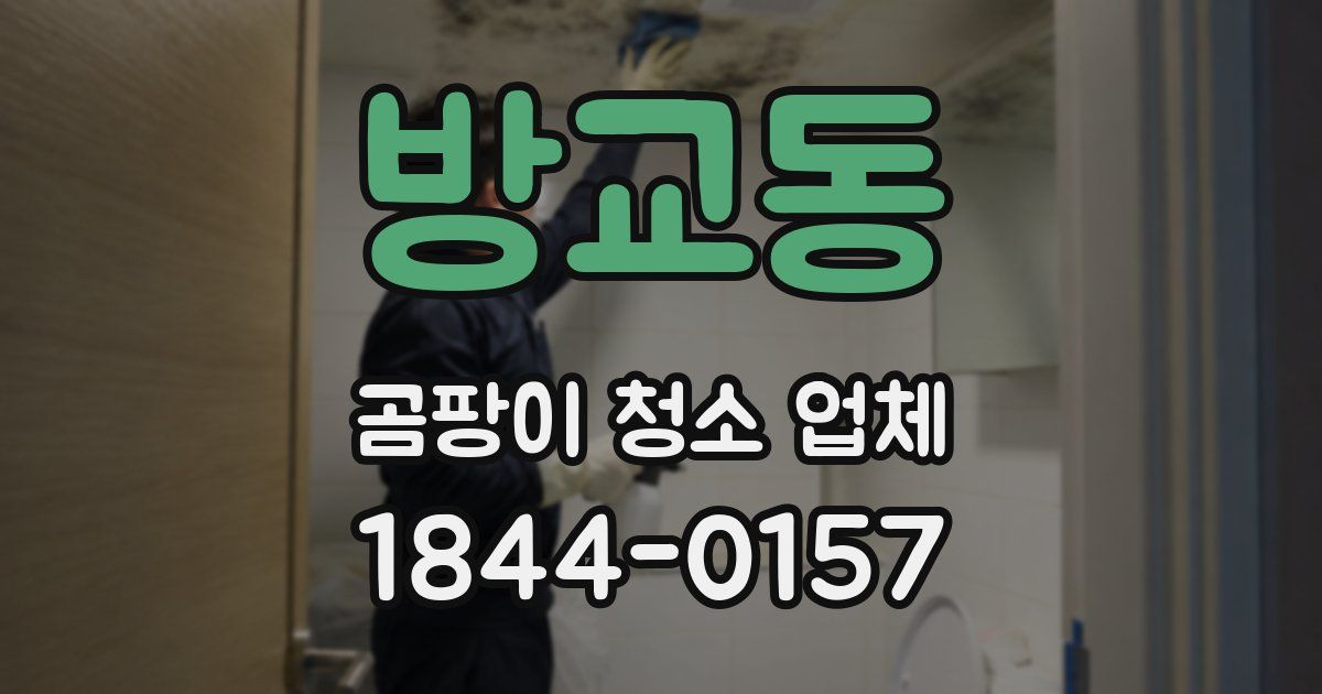 방교동 곰팡이 청소 업체