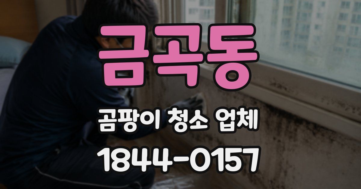 금곡동 곰팡이 청소 업체