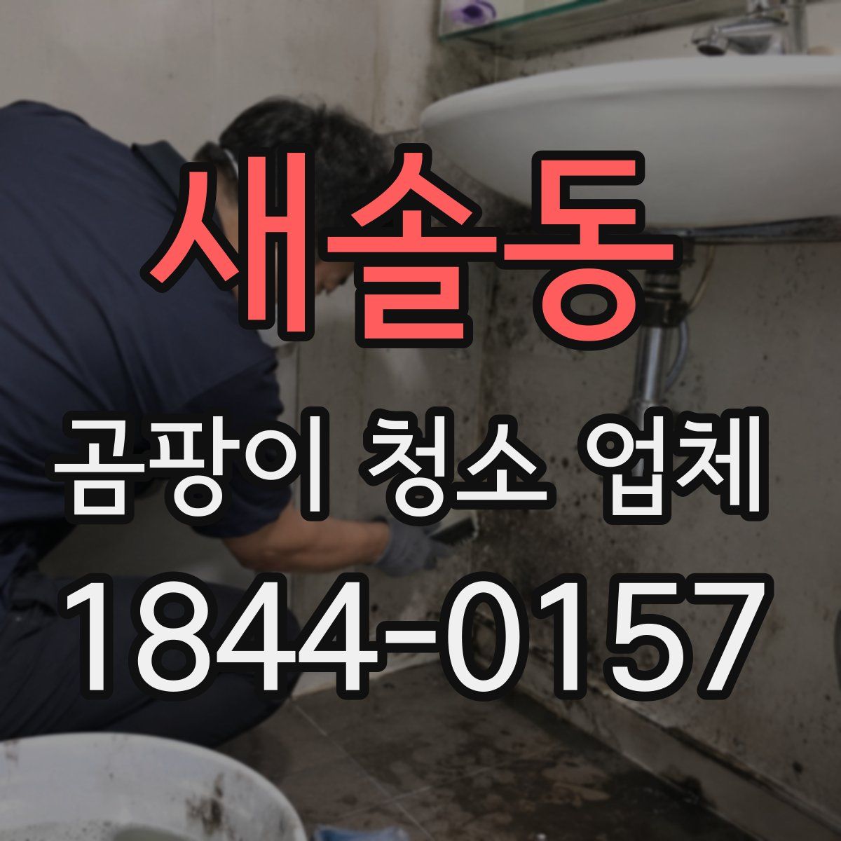 새솔동 곰팡이 청소 업체