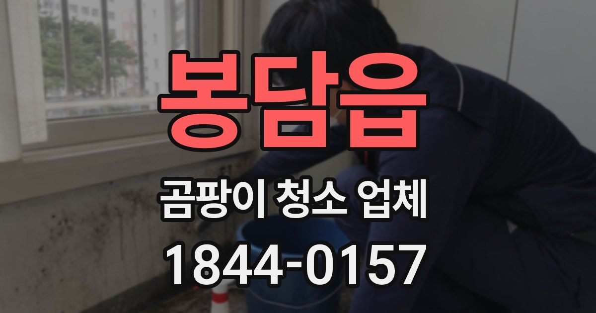 봉담읍 곰팡이 청소 업체