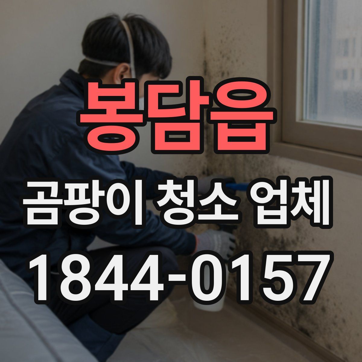 봉담읍 곰팡이 청소 업체