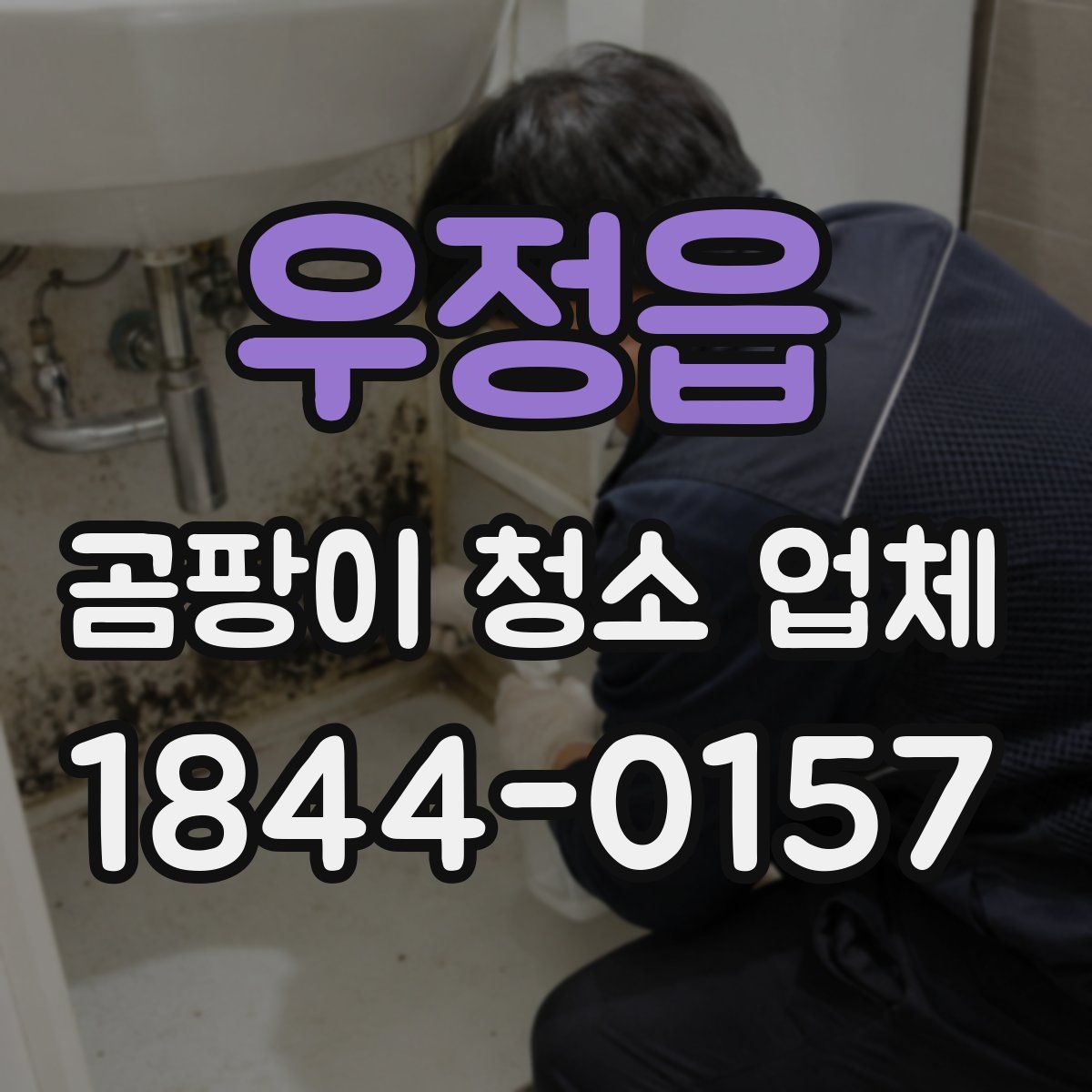 우정읍 곰팡이 청소 업체