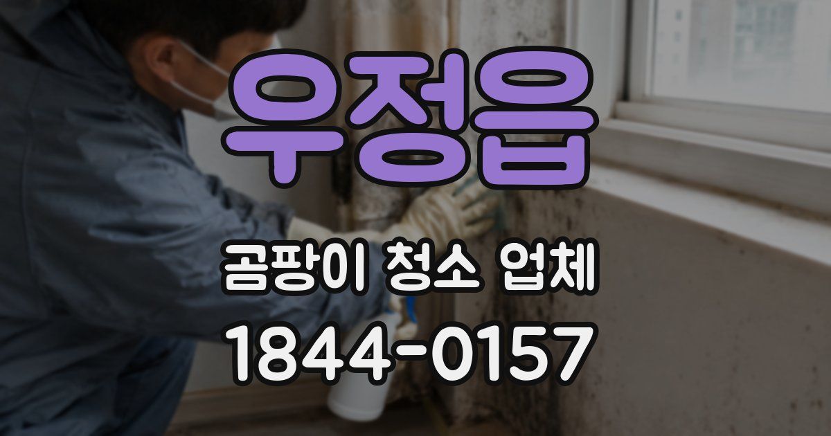 우정읍 곰팡이 청소 업체