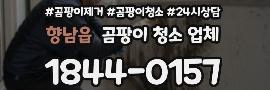 향남읍 곰팡이 청소 업체