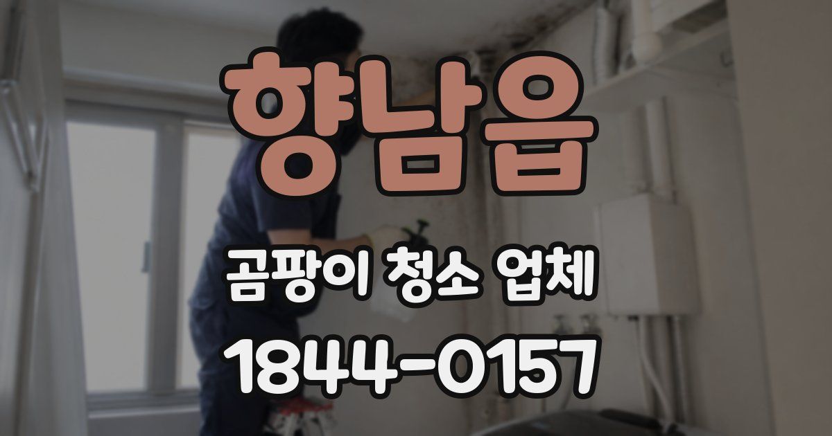 향남읍 곰팡이 청소 업체