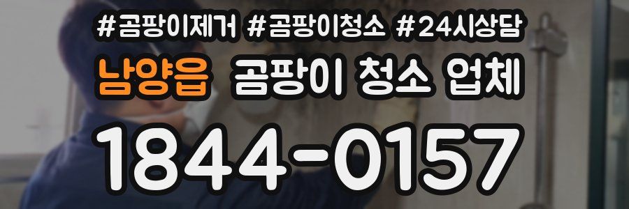 남양읍 곰팡이 청소 업체