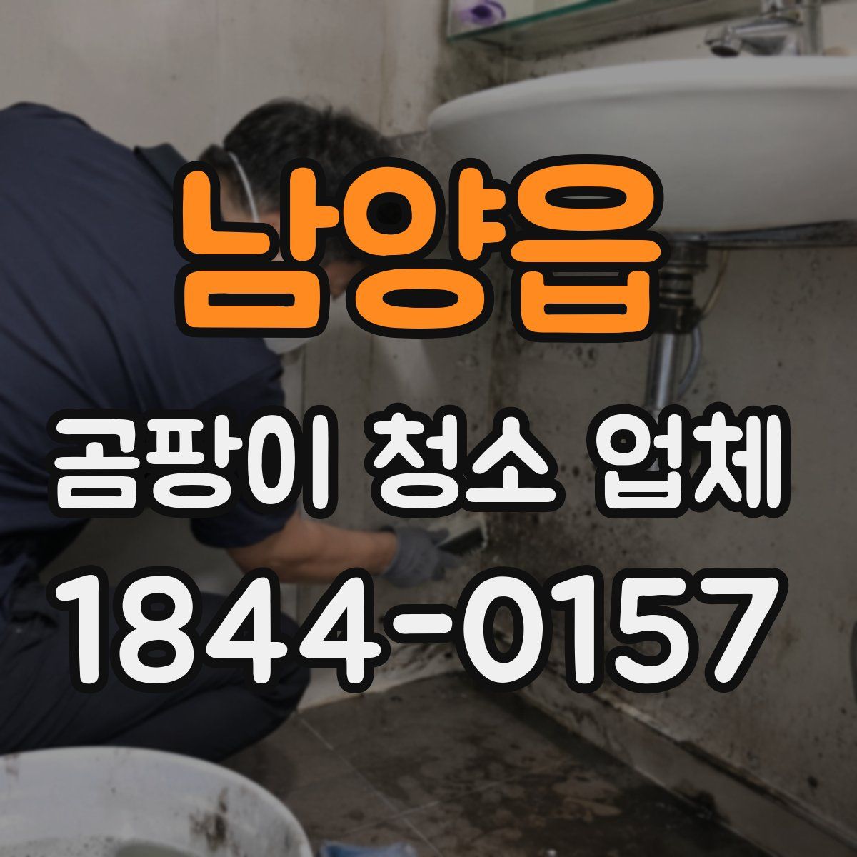 남양읍 곰팡이 청소 업체