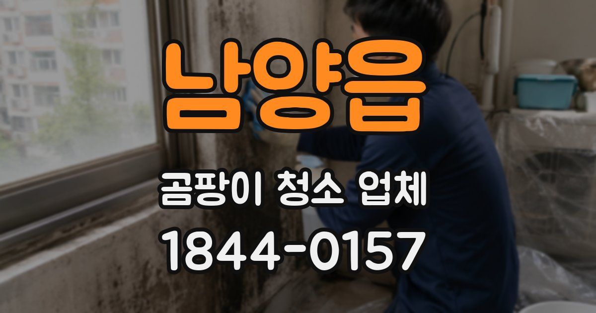 남양읍 곰팡이 청소 업체