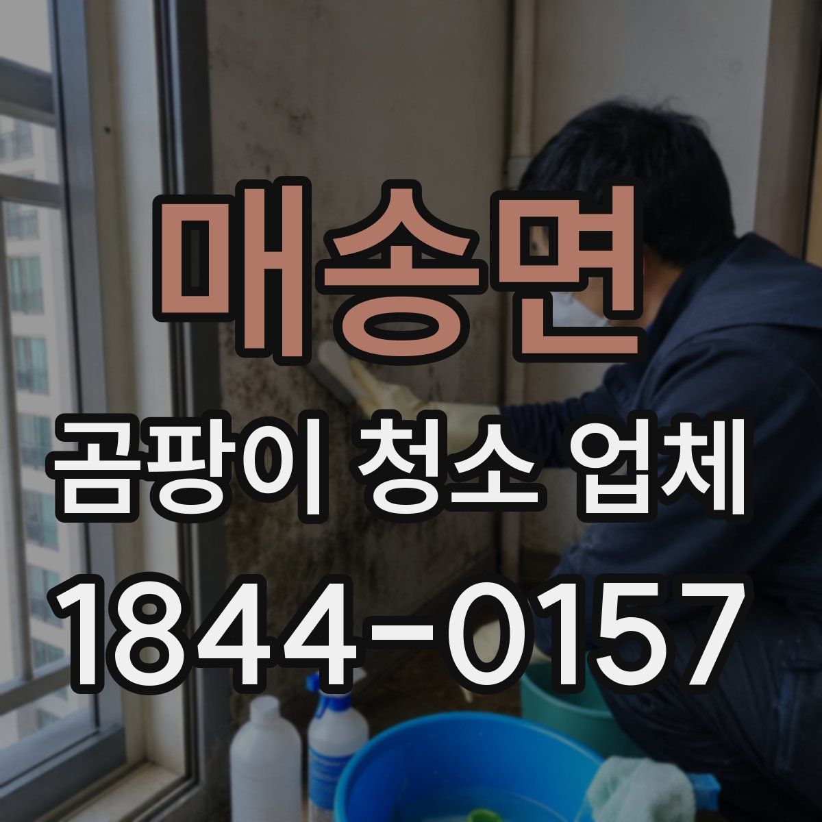 매송면 곰팡이 청소 업체