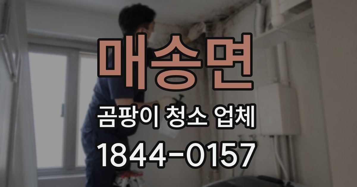 매송면 곰팡이 청소 업체