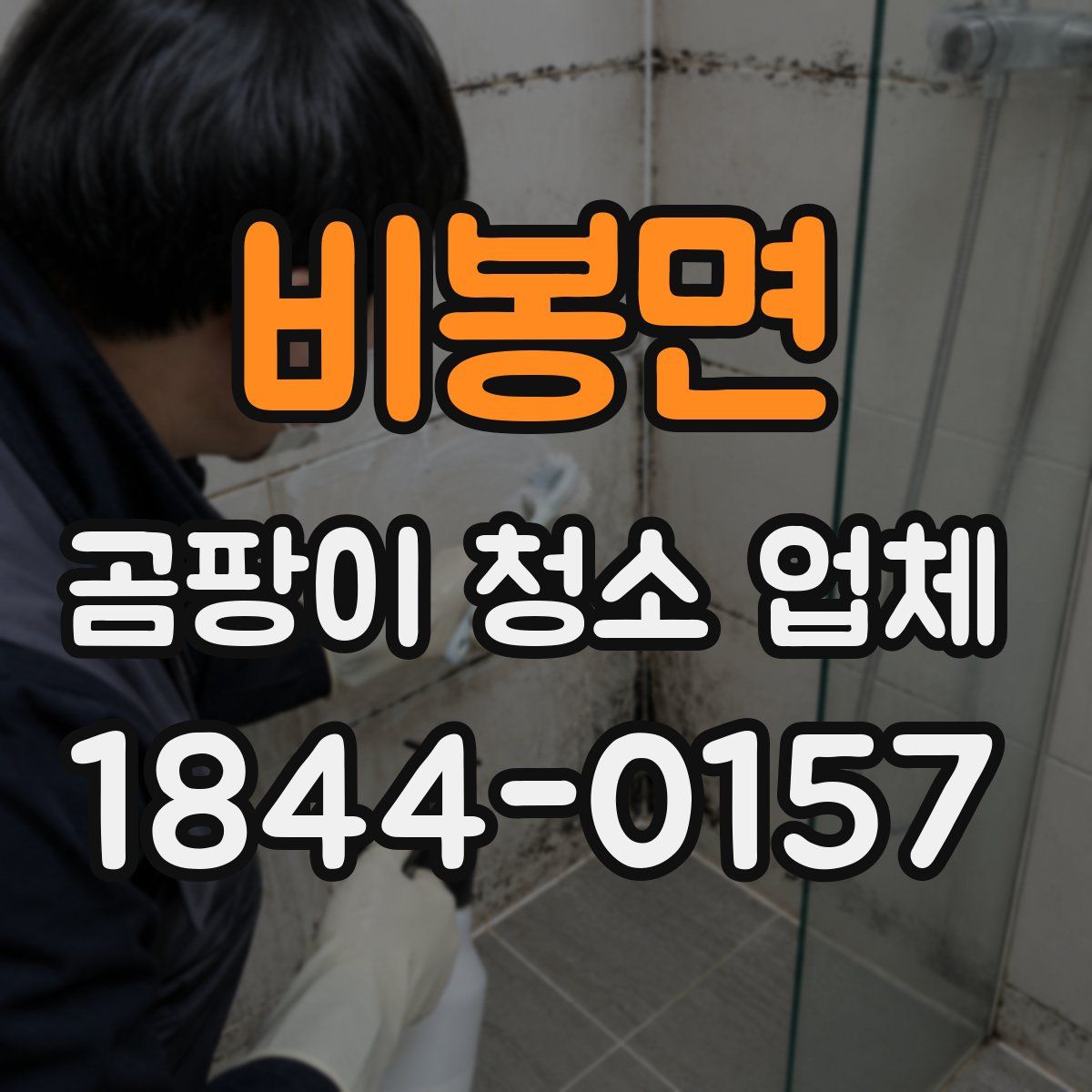 비봉면 곰팡이 청소 업체