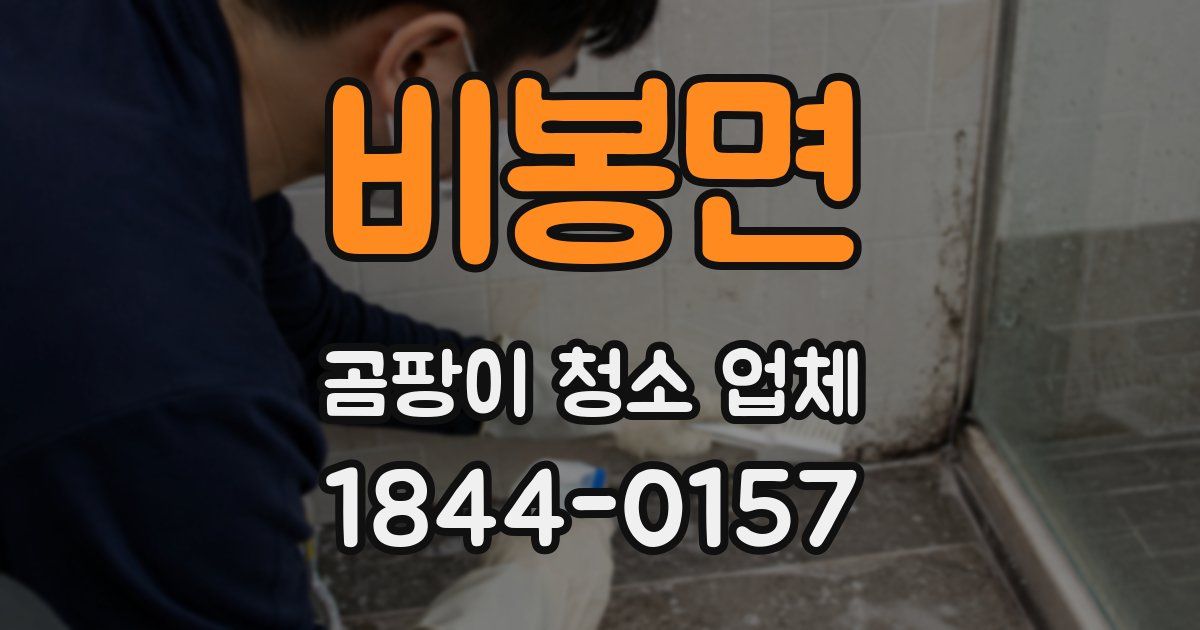 비봉면 곰팡이 청소 업체