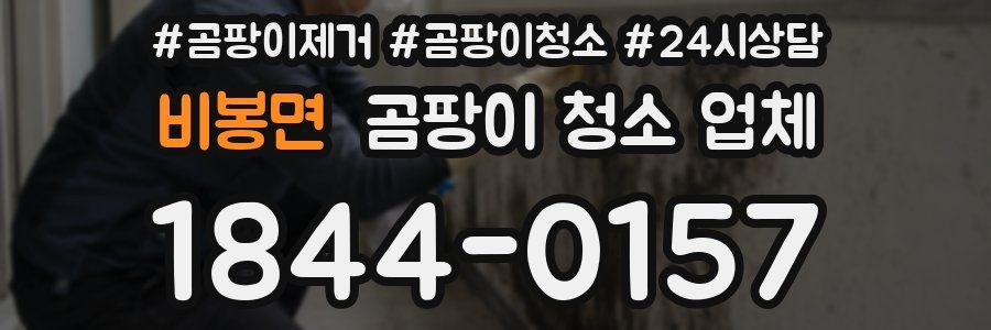 비봉면 곰팡이 청소 업체