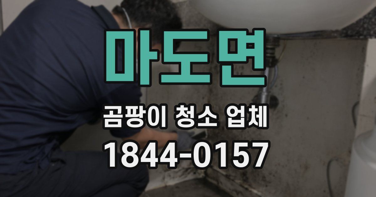마도면 곰팡이 청소 업체