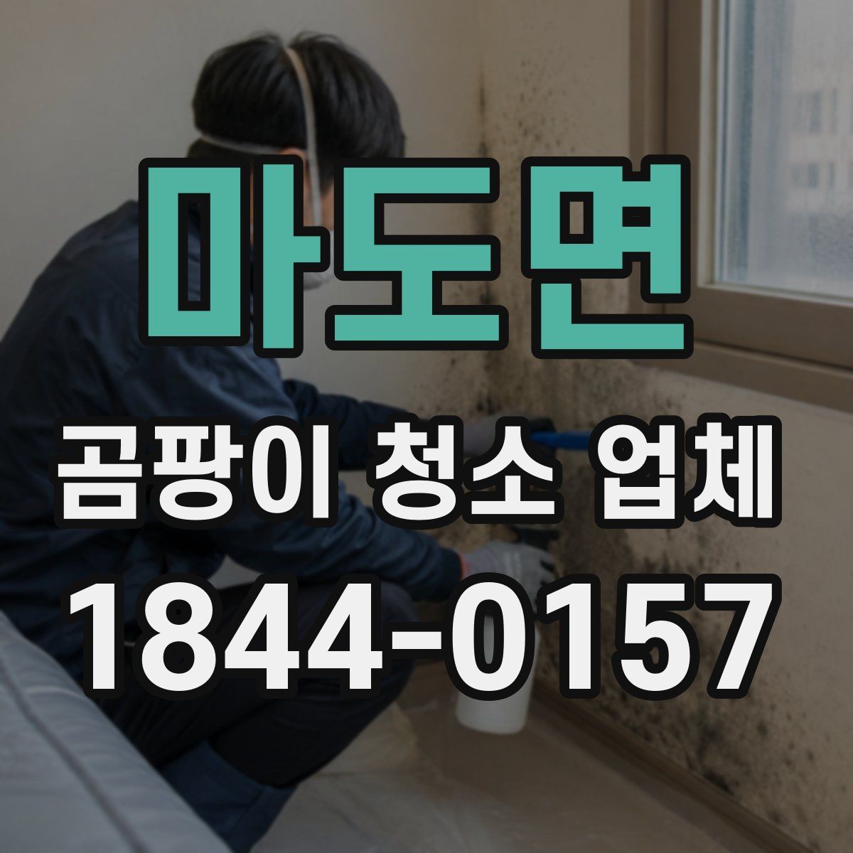 마도면 곰팡이 청소 업체