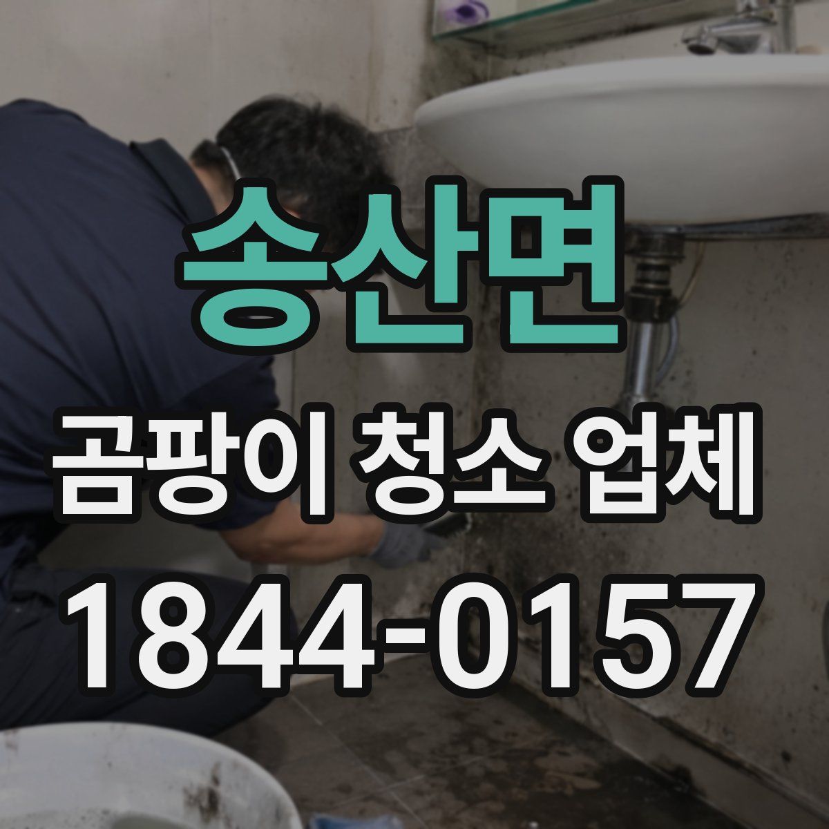송산면 곰팡이 청소 업체