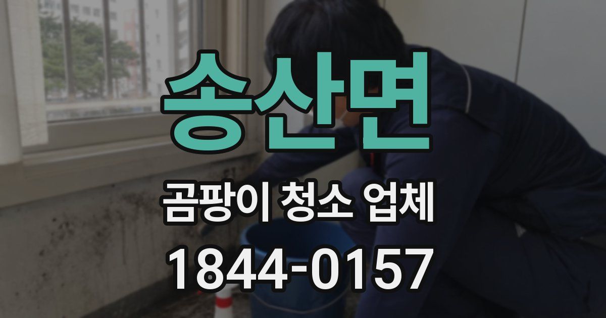 송산면 곰팡이 청소 업체